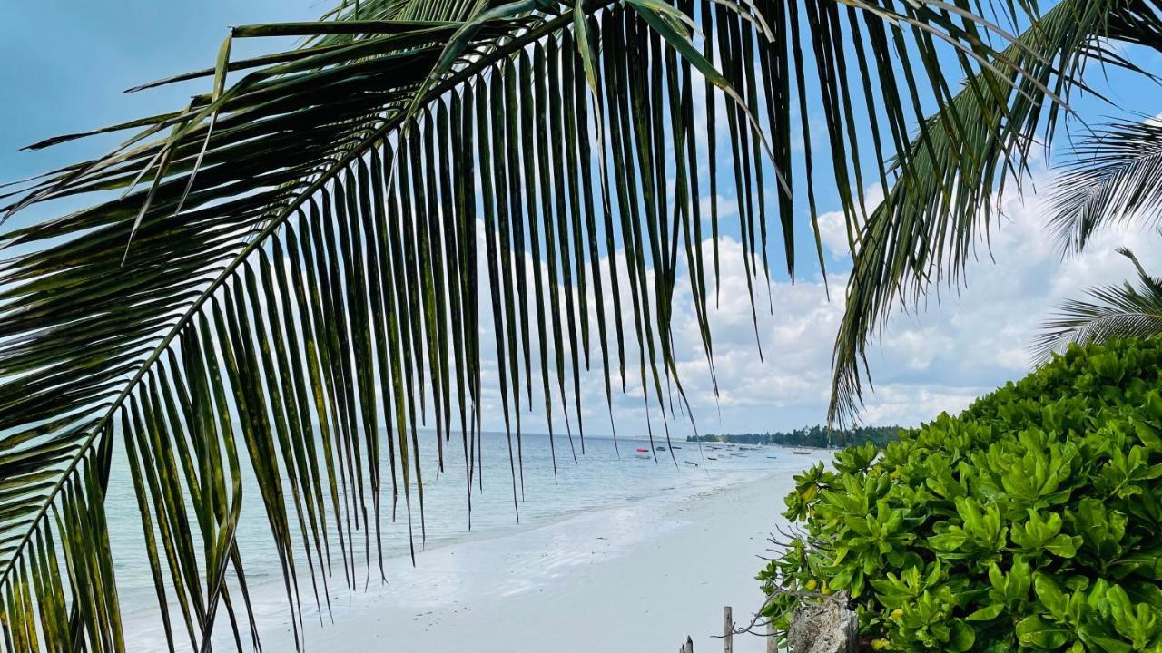 Palumboreef Beach Resort Уроа Екстериор снимка